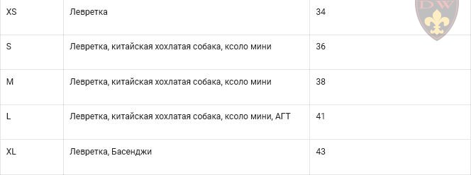 COMFORT зимний комбинезон для собак: левретки, басенджи, АГТ, ксоло, перуанская голая, пудель.